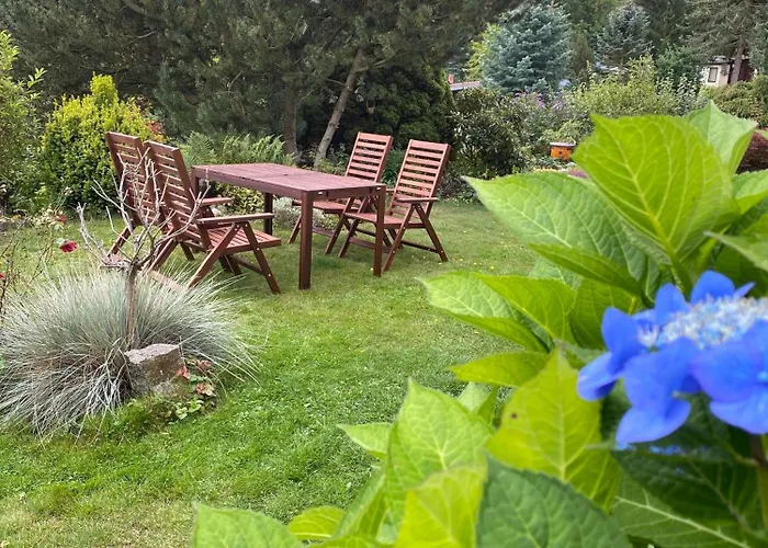 Im Harz, Direkt Am Wald, Terrasse&garten, Grill, Ruhige Lage, Wlan, Wandern, Casa de Férias